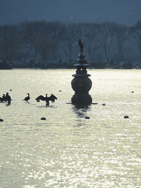 划向烟波无尽处。