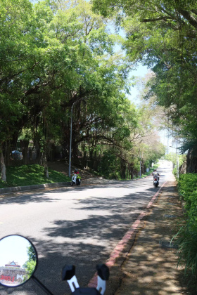 我想我已经开始想念你