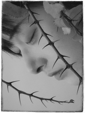 平淡日子里的刺