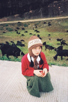 苹果是小小的爱和宇宙