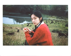 苹果不是平庸的水果