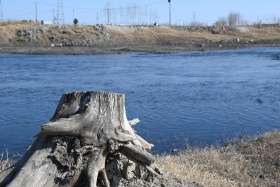 求评价，求指导，不想盲目