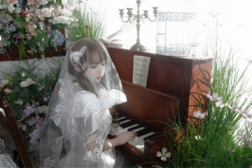 理想主义的花嫁