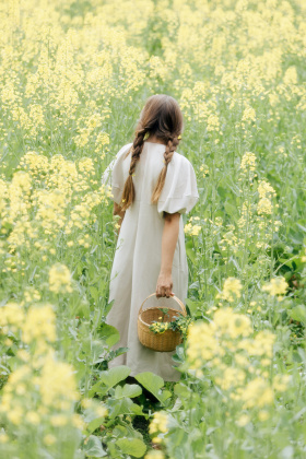 《猫与花的春日午后》