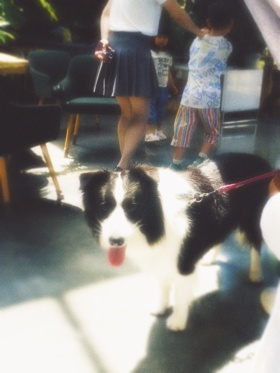 废片·梦回千禧年