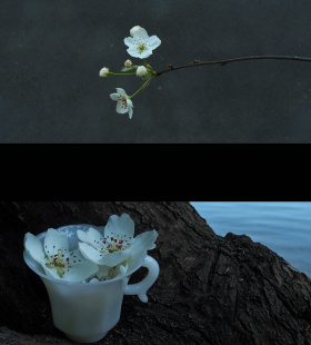 雨打梨花深闭门