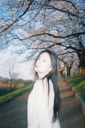 所有文案都没有樱花本身浪漫。