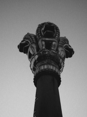 废片·国产森山