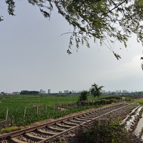 随手拍，烂片一张