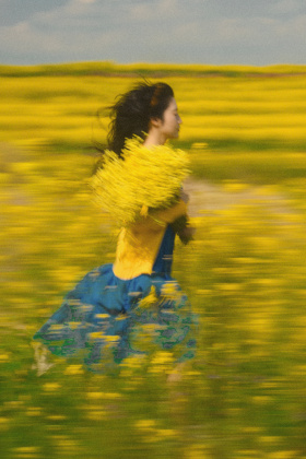 如花在野，温柔热烈