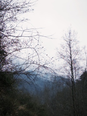 雾锁山头山锁雾