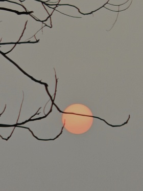 晨雾中的慢镜头