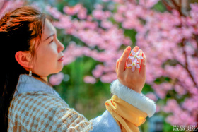 2026樱花季 - 龟山早樱