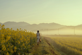 沉沦吧 在这醉生梦死的晨昏