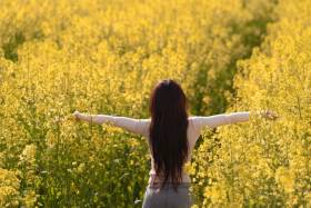 风遇花田，万物温柔