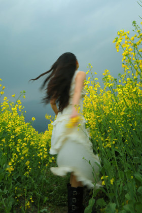 被雨淋湿的春天