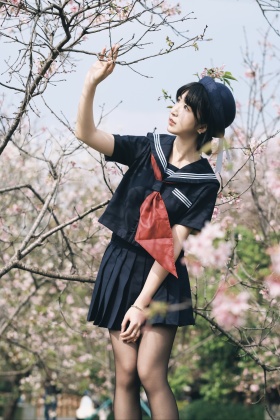 春日正好，樱花未满