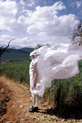 愿你自由，如风如野