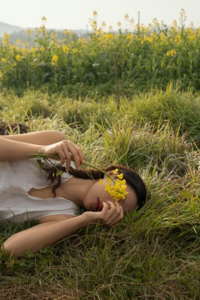 晨雾走进那盛开的悲伤