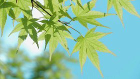 Call me by your name.