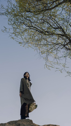 野望归期 草木忆昔