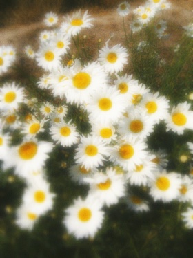 废片·梦回千禧年