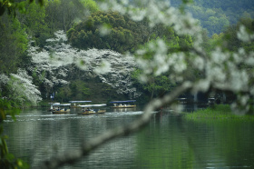花自飘零水自流。