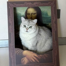 ...