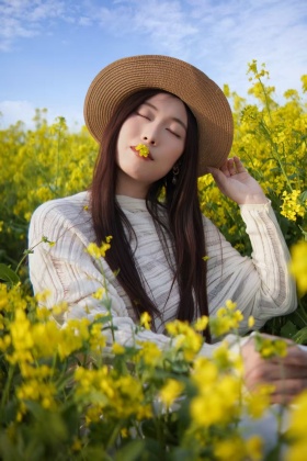 油菜花