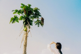 《我在芒市，天气晴》