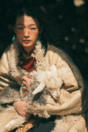 我的小羊快要死掉了