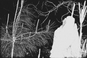 杀死一只知更鸟