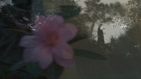 我只是，为您捧上水中之月