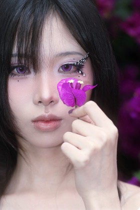 蝶遇三角梅