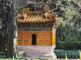 过隙碎影