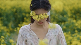 一整片安静的春