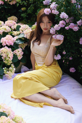 闯入爱丽丝花园