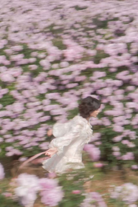 一朵玫瑰的瞬间