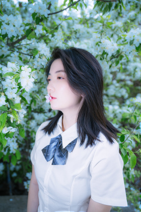 春日海棠花日系清新