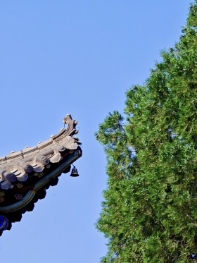 梅花拳基地