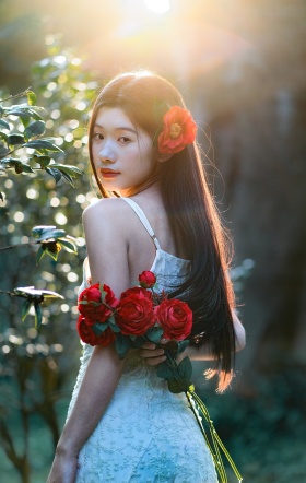 茶花开吋