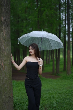 雨中的小森林