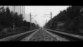 金鬃马