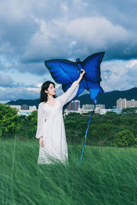 如蝶 如风
