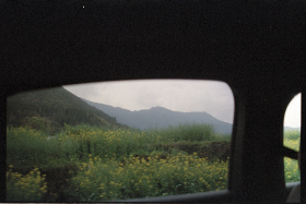 旅行的碎片