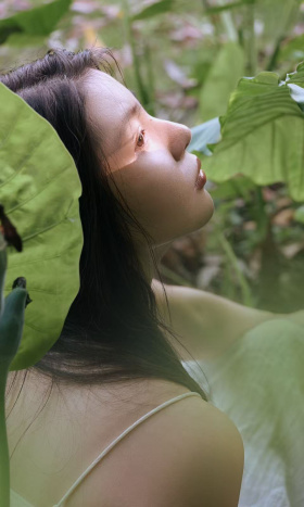 濡绿之地