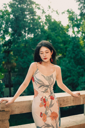 俯仰流春二十年