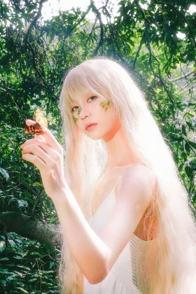 森野精灵，与光同行