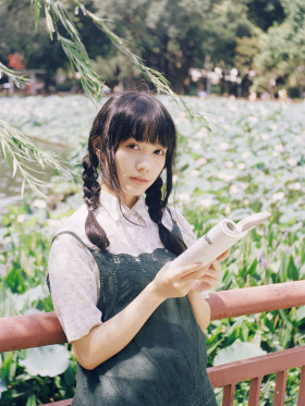 杨柳依依