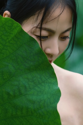 又是一季荷花开
